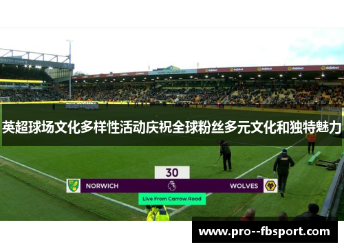 英超球场文化多样性活动庆祝全球粉丝多元文化和独特魅力
