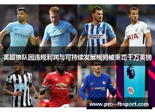 英超狼队因违规利润与可持续发展规则被重罚千万英镑 英超狼队因违规利润与可持续发展规则被重罚千万英镑