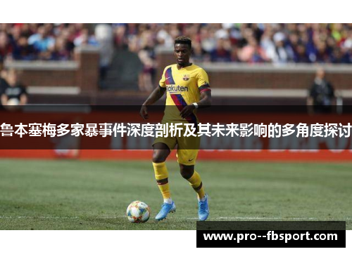 鲁本塞梅多家暴事件深度剖析及其未来影响的多角度探讨