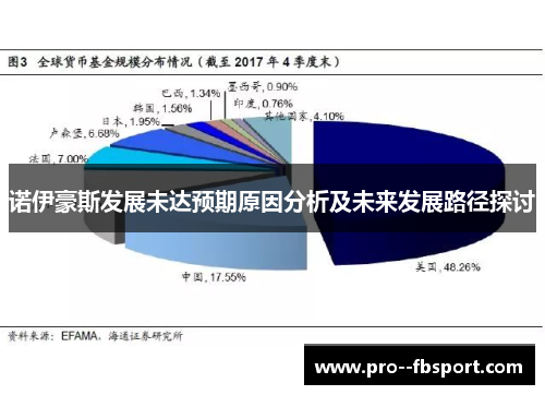 诺伊豪斯发展未达预期原因分析及未来发展路径探讨 诺伊豪斯发展未达预期原因分析及未来发展路径探讨