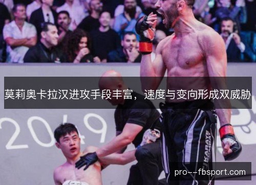 莫莉奥卡拉汉进攻手段丰富，速度与变向形成双威胁